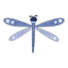 sq